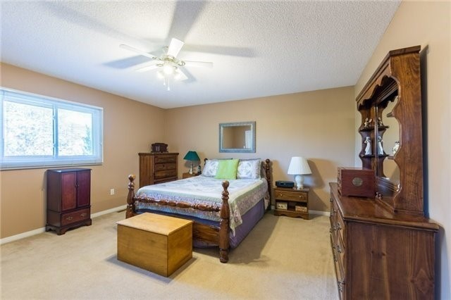 Carpeted primary bedroom before renovation